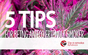 5 Tips For Being An Eco Friendly Smoker