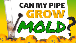Can My Pipe Grow Mold????