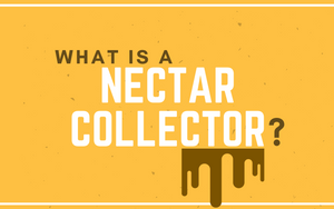 What is a Nectar Collector?