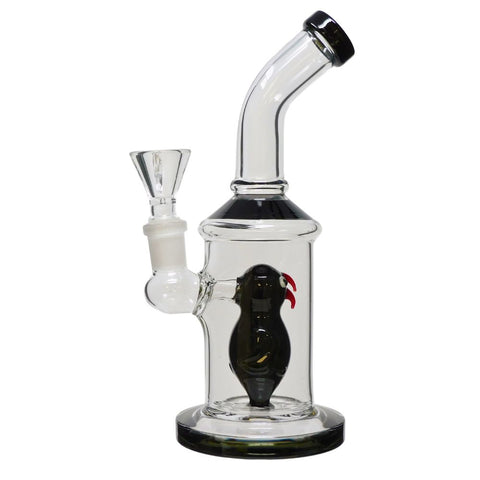8" Parrot Water Pipe